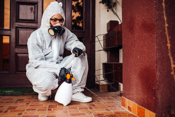 Reliable Termite Control contractor in Taylorsville, KY by Nex Pest Control